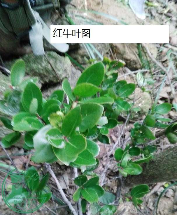 QQͼƬ20160215193149.jpg