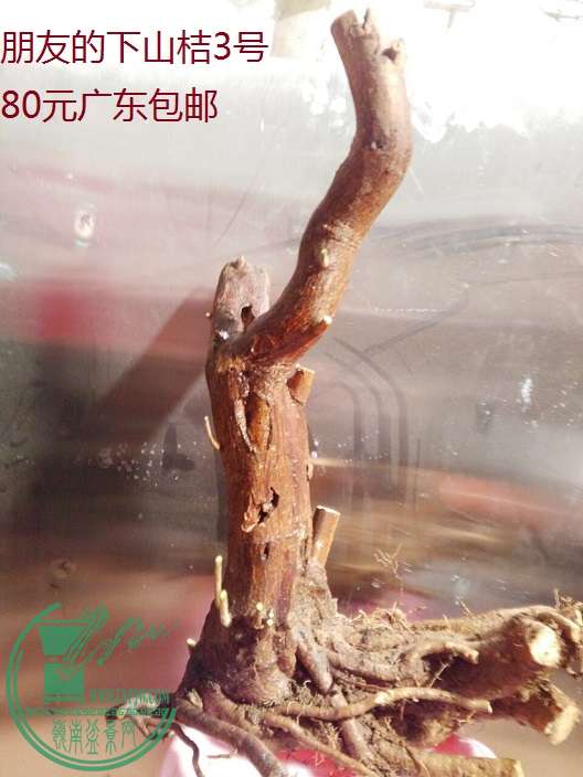 QQͼƬ20160215193121.jpg