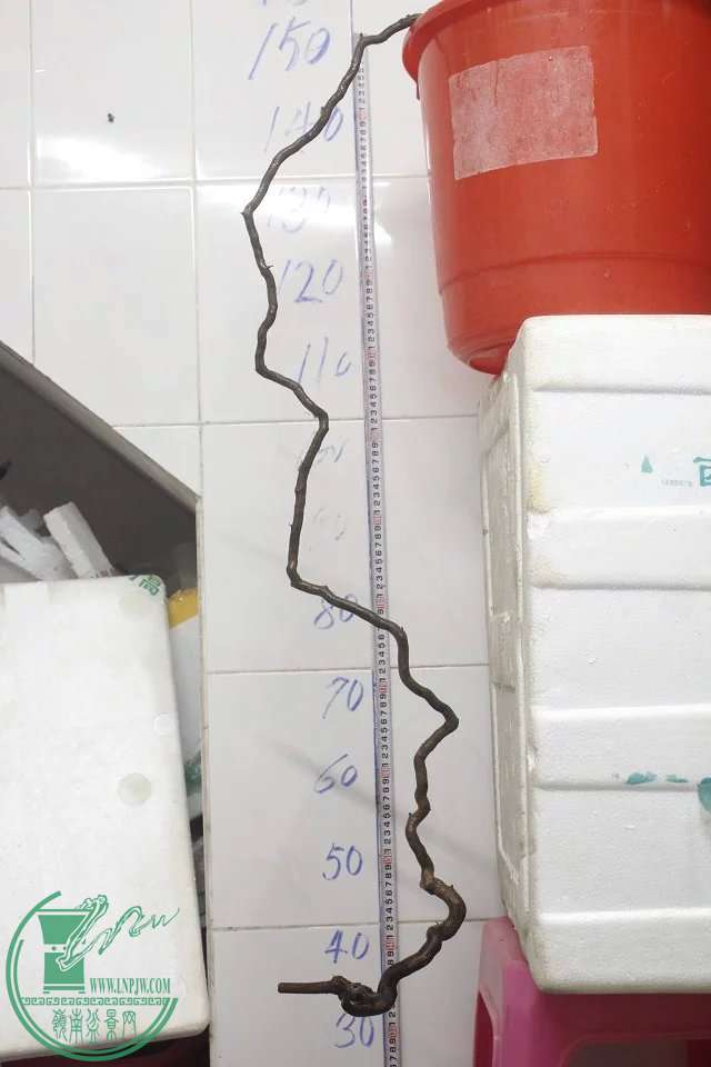 psb (1).jpg