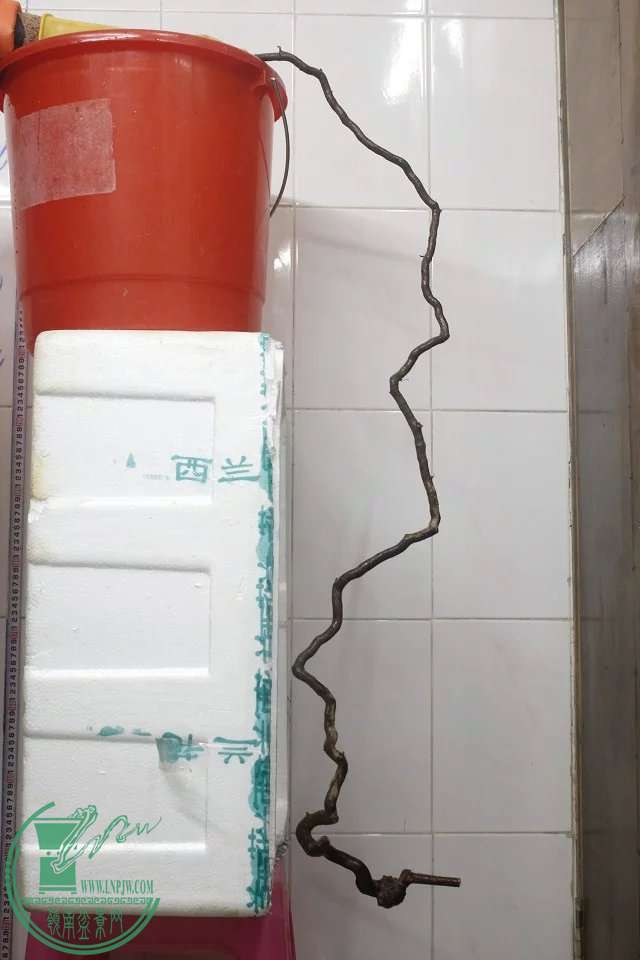 psb (2).jpg