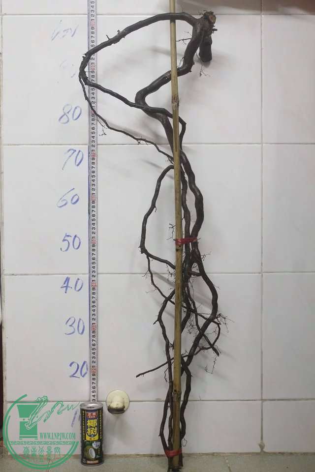 psb (12).jpg