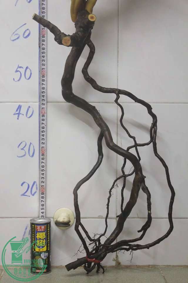 psb (13).jpg
