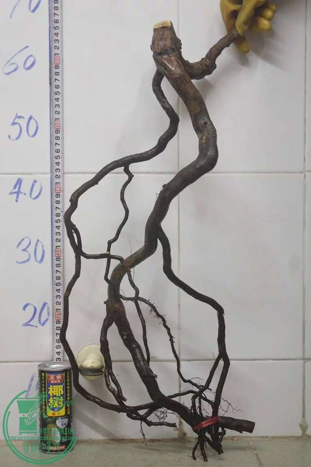 psb (14).jpg