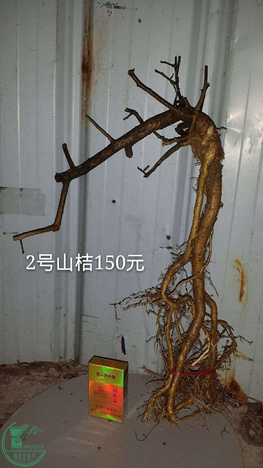 QQͼƬ20160215202639.jpg