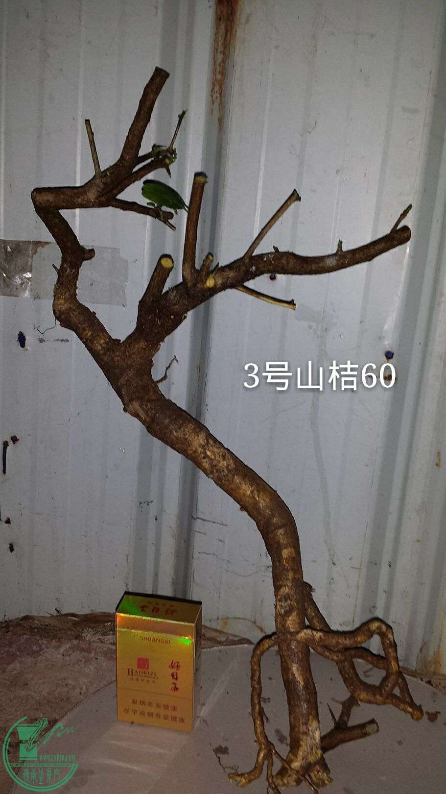 QQͼƬ20160215202648.jpg