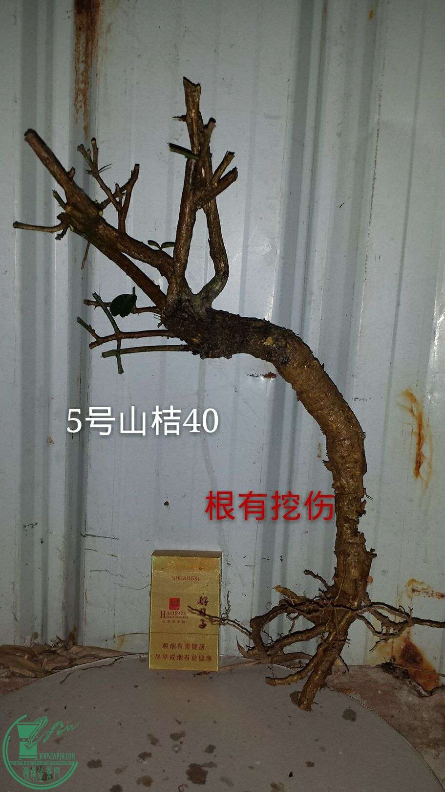 QQͼƬ20160215202657.jpg
