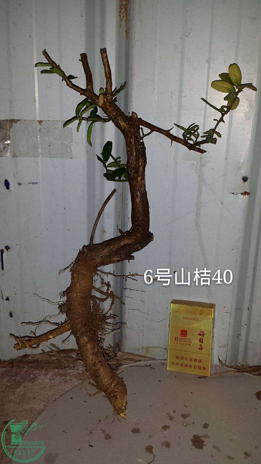 QQͼƬ20160215202702.jpg