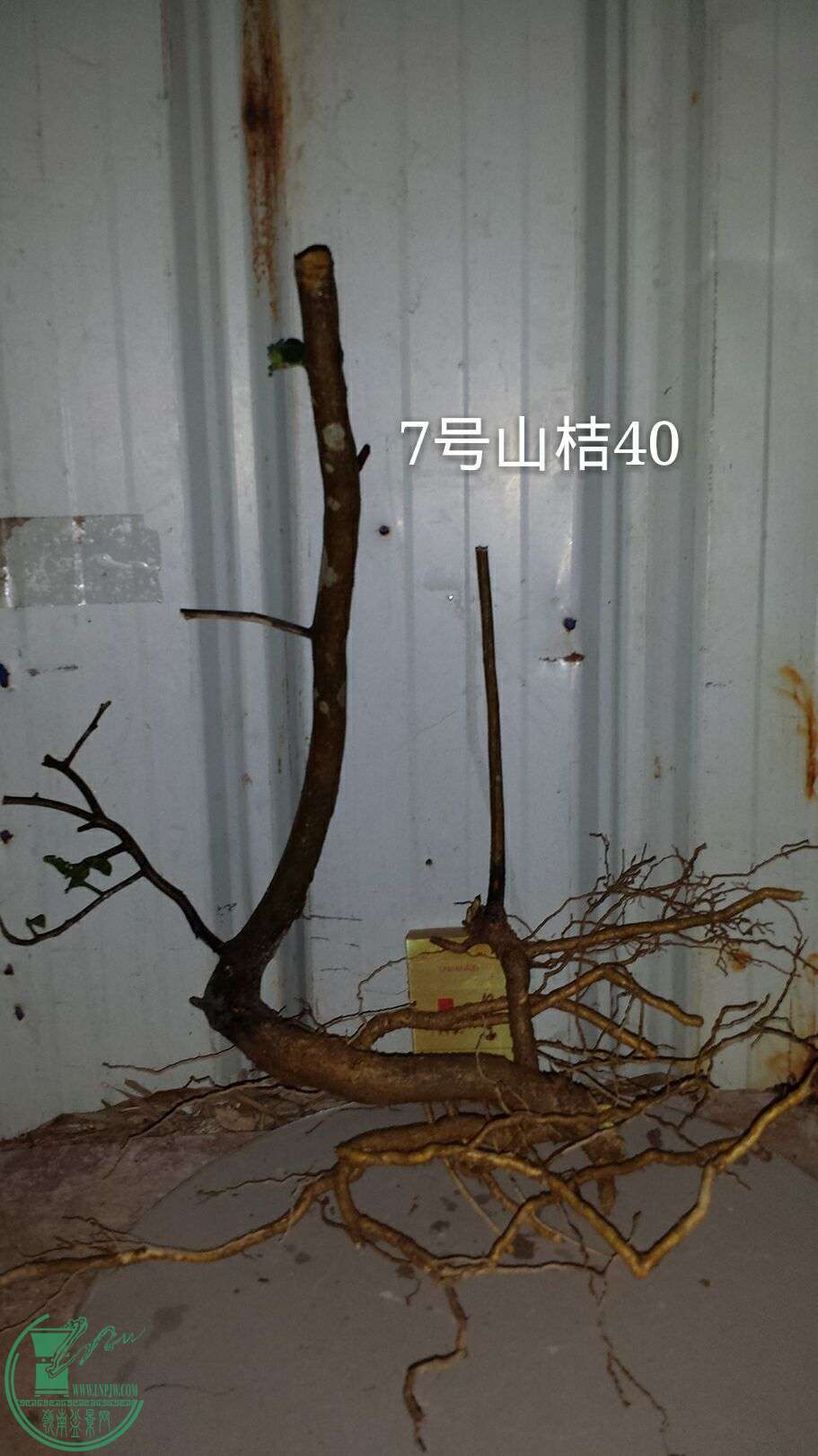 QQͼƬ20160215202707.jpg