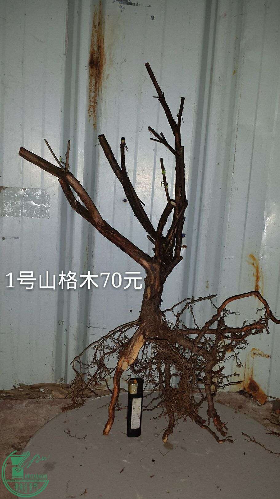 QQͼƬ20160215220934.jpg