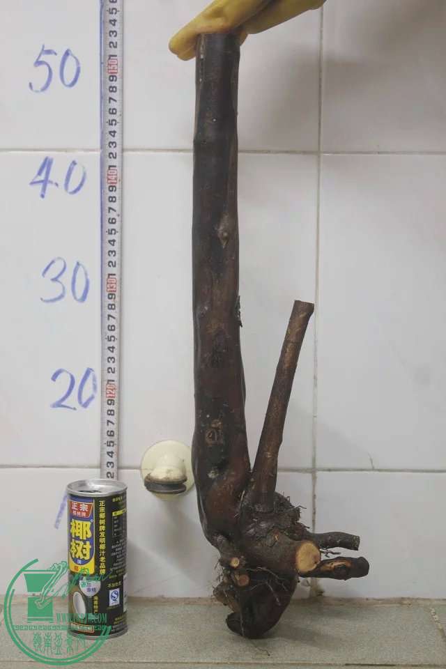 psb (2).jpg