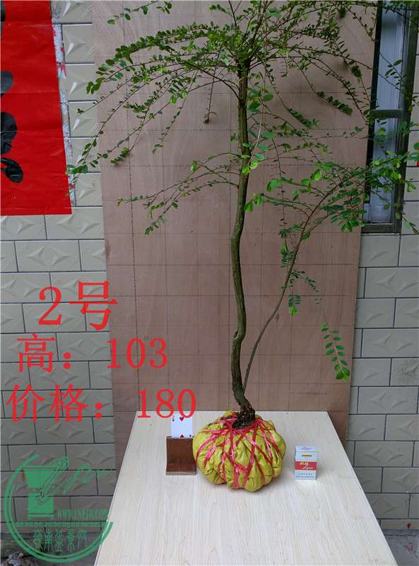 02.jpg