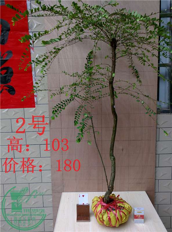 03.jpg