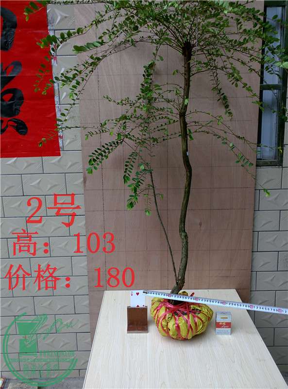 04.jpg