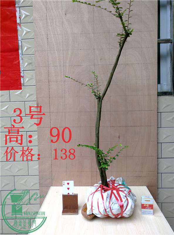 03.jpg