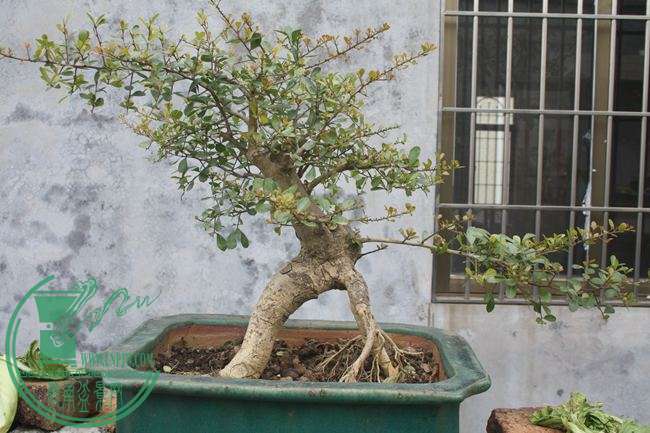 Ƭ20131026ۺ 747.jpg