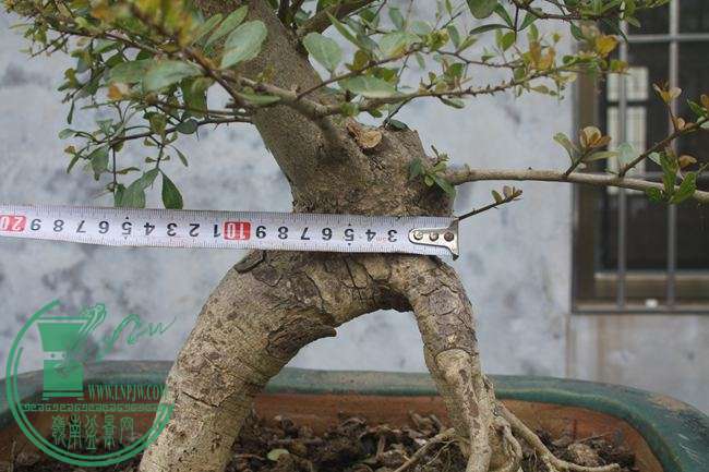 Ƭ20131026ۺ 746.jpg