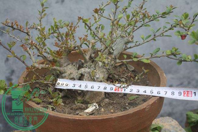 Ƭ20131026ۺ 742.jpg