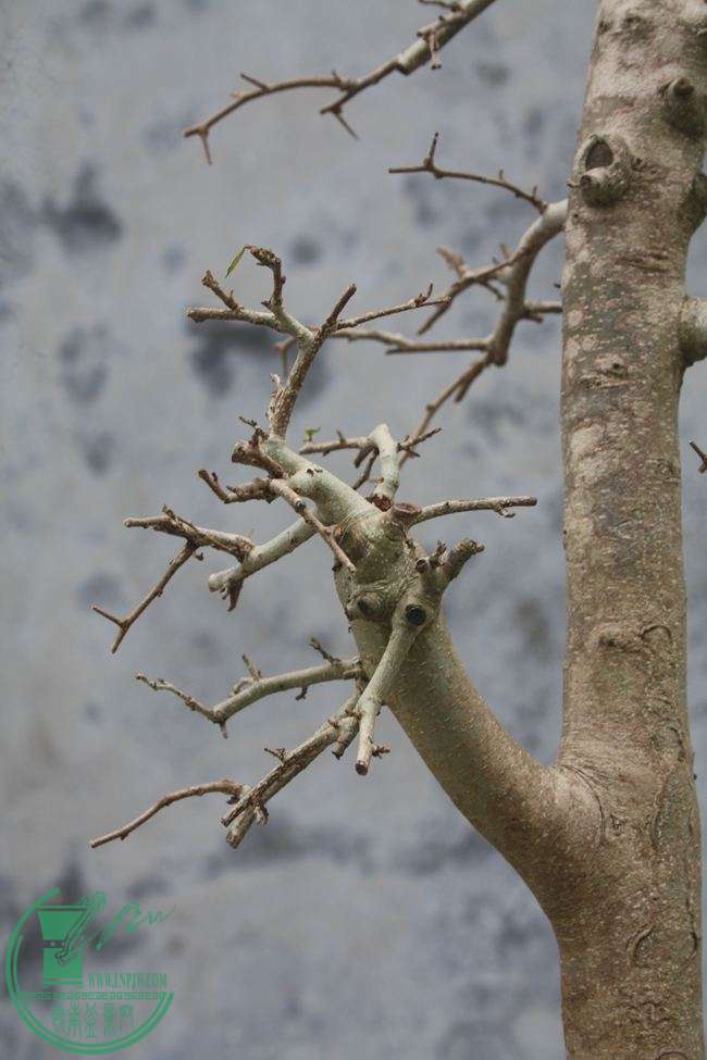 Ƭ20131026ۺ 736.jpg