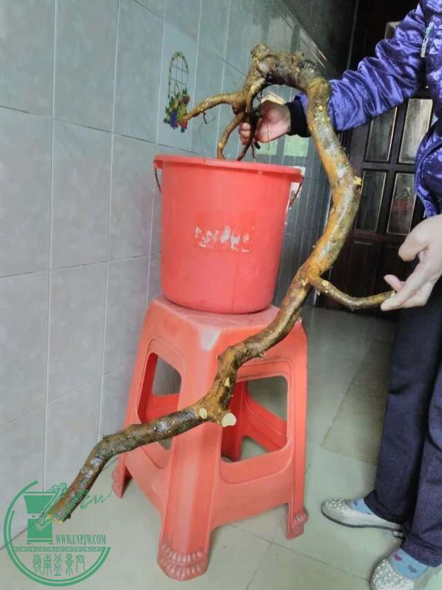 118.jpg