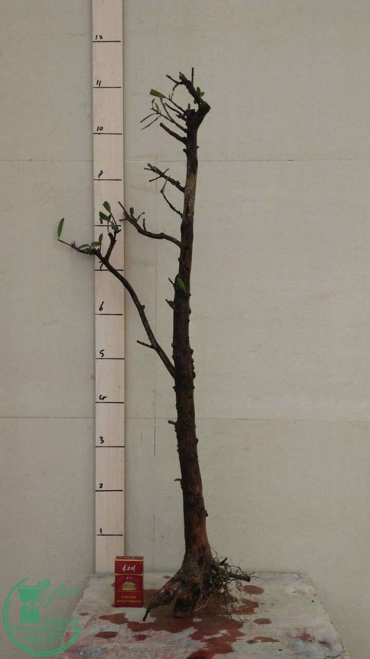 QQͼƬ20160216191840.jpg