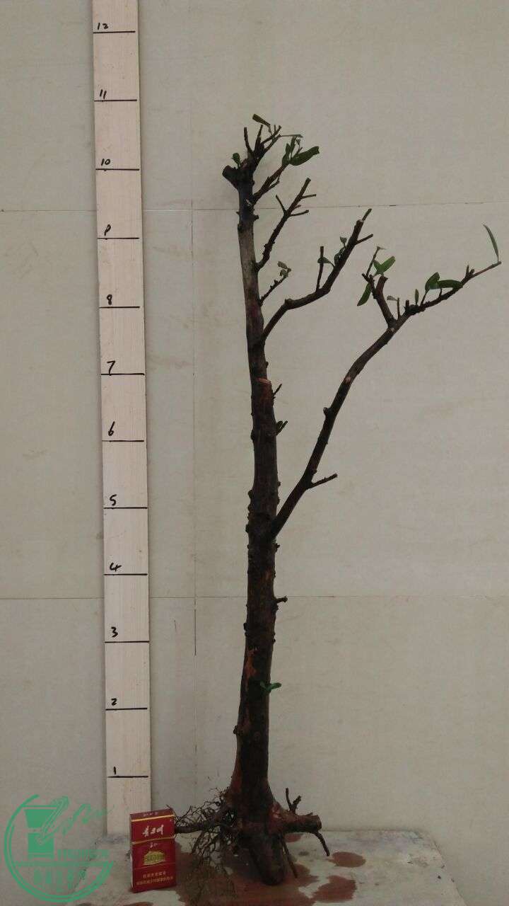 QQͼƬ20160216191852.jpg