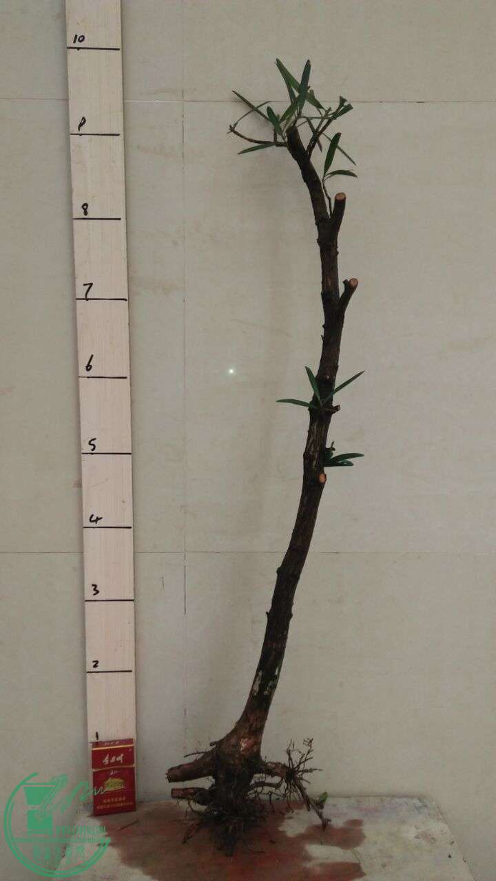 QQͼƬ20160216191811.jpg