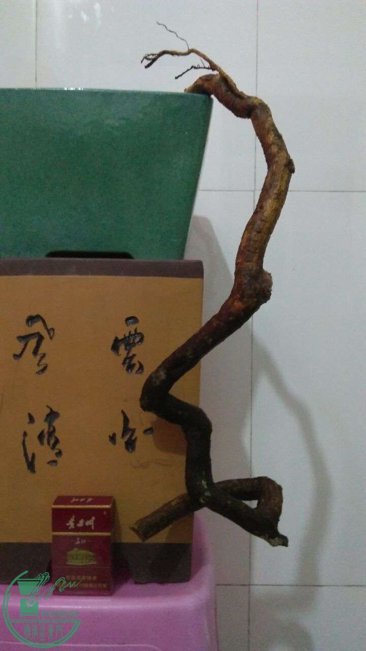 QQͼƬ20160216192026.jpg