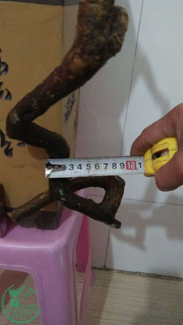 QQͼƬ20160216192120.jpg
