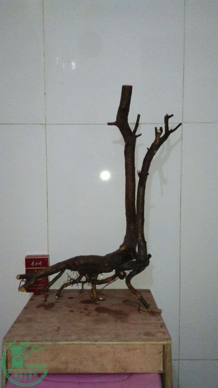 QQͼƬ20160216191953.jpg