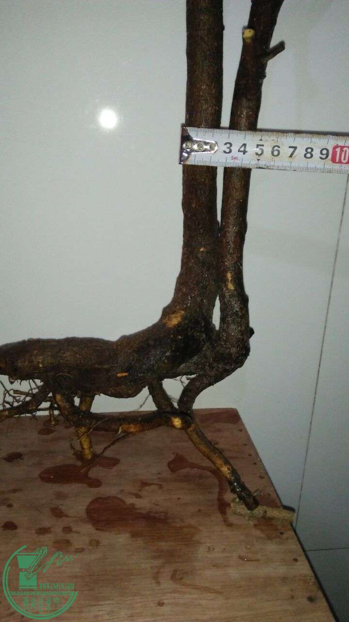 QQͼƬ20160216192006.jpg