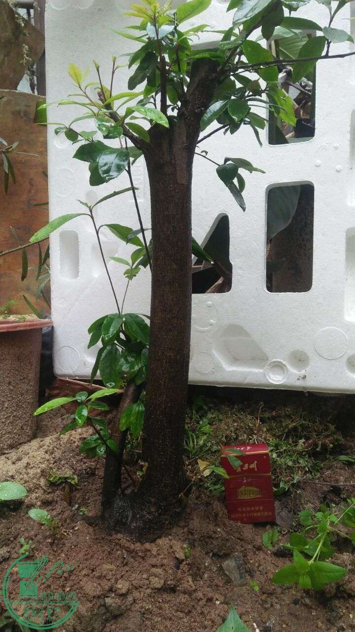 QQͼƬ20160216191626.jpg
