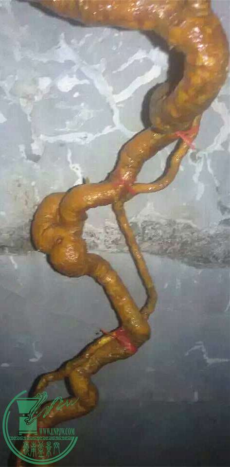 11_.jpg