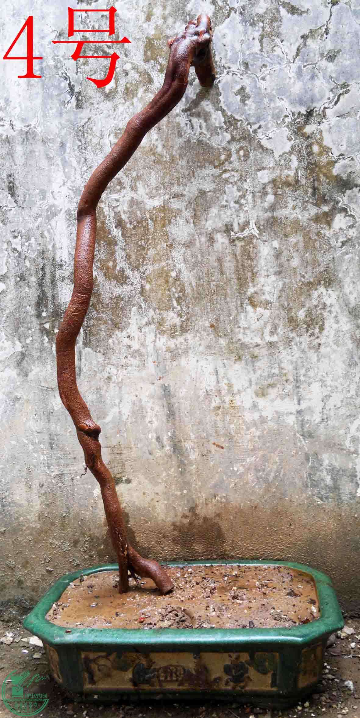 2016021810273.jpg
