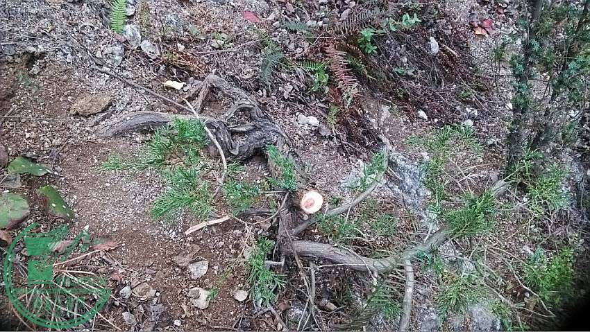 conew_img_20141027_130520_conew9.jpg