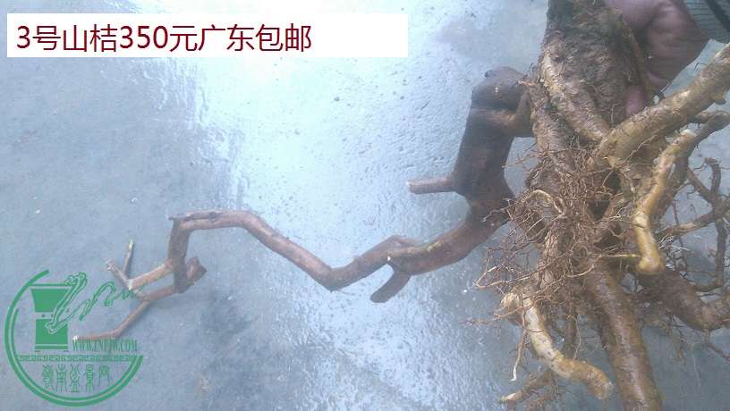 QQͼƬ20160219165202.jpg