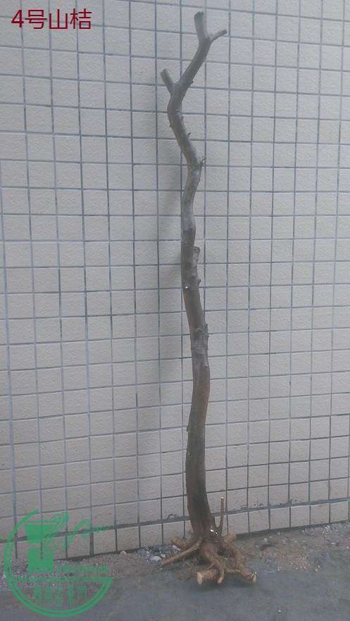 QQͼƬ20160219165553.jpg