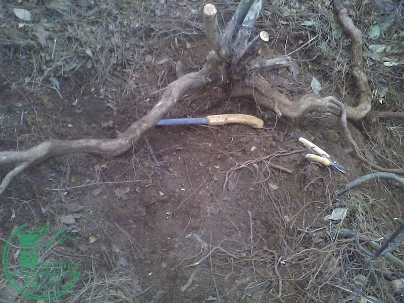IMG0219133500.jpg
