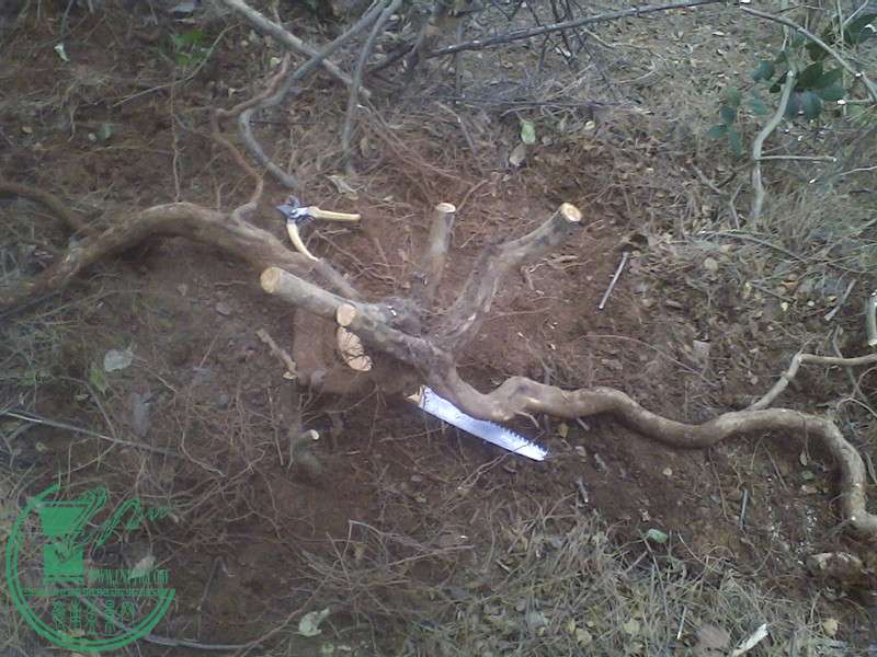IMG0219133501.jpg