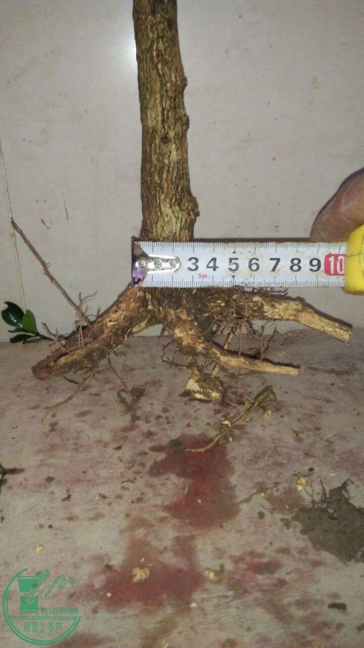 QQͼƬ20160219190335.jpg
