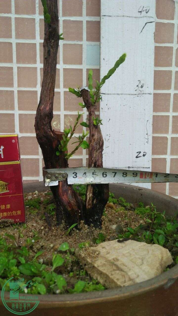 QQͼƬ20160219190455.jpg