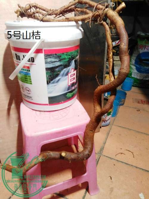 QQͼƬ20160219192635.jpg