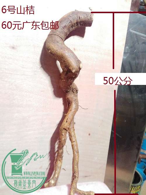 QQͼƬ20160219192709.jpg