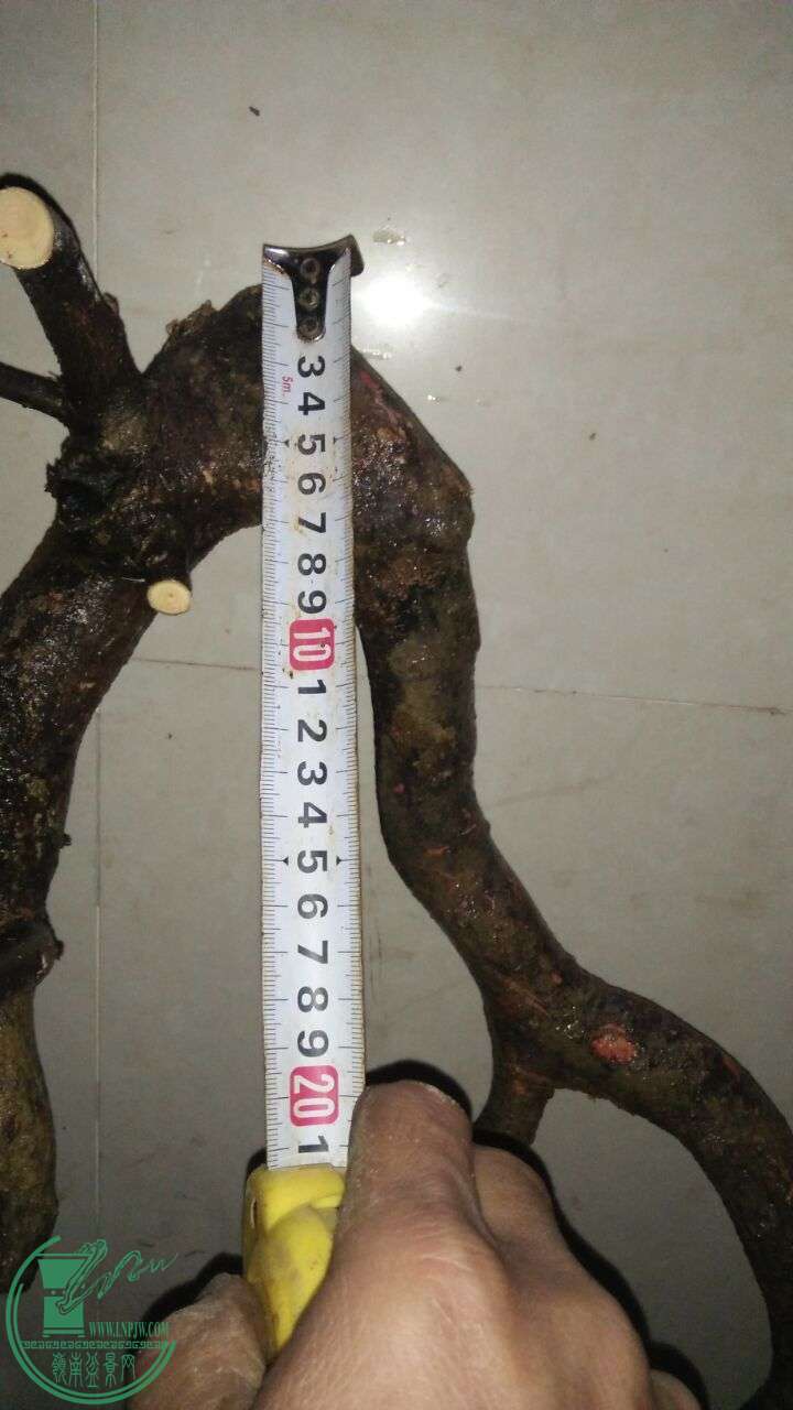 QQͼƬ20160220194207.jpg