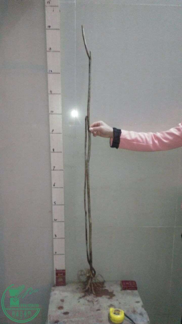 QQͼƬ20160220194455.jpg