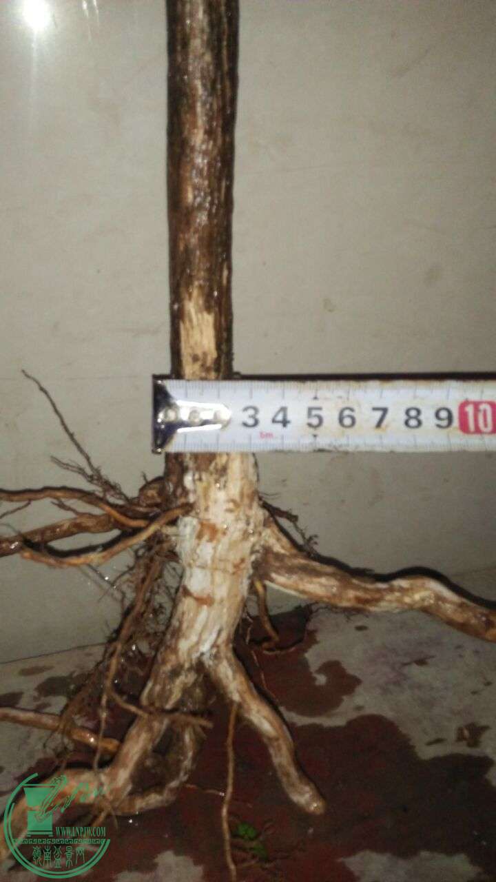 QQͼƬ20160220194520.jpg