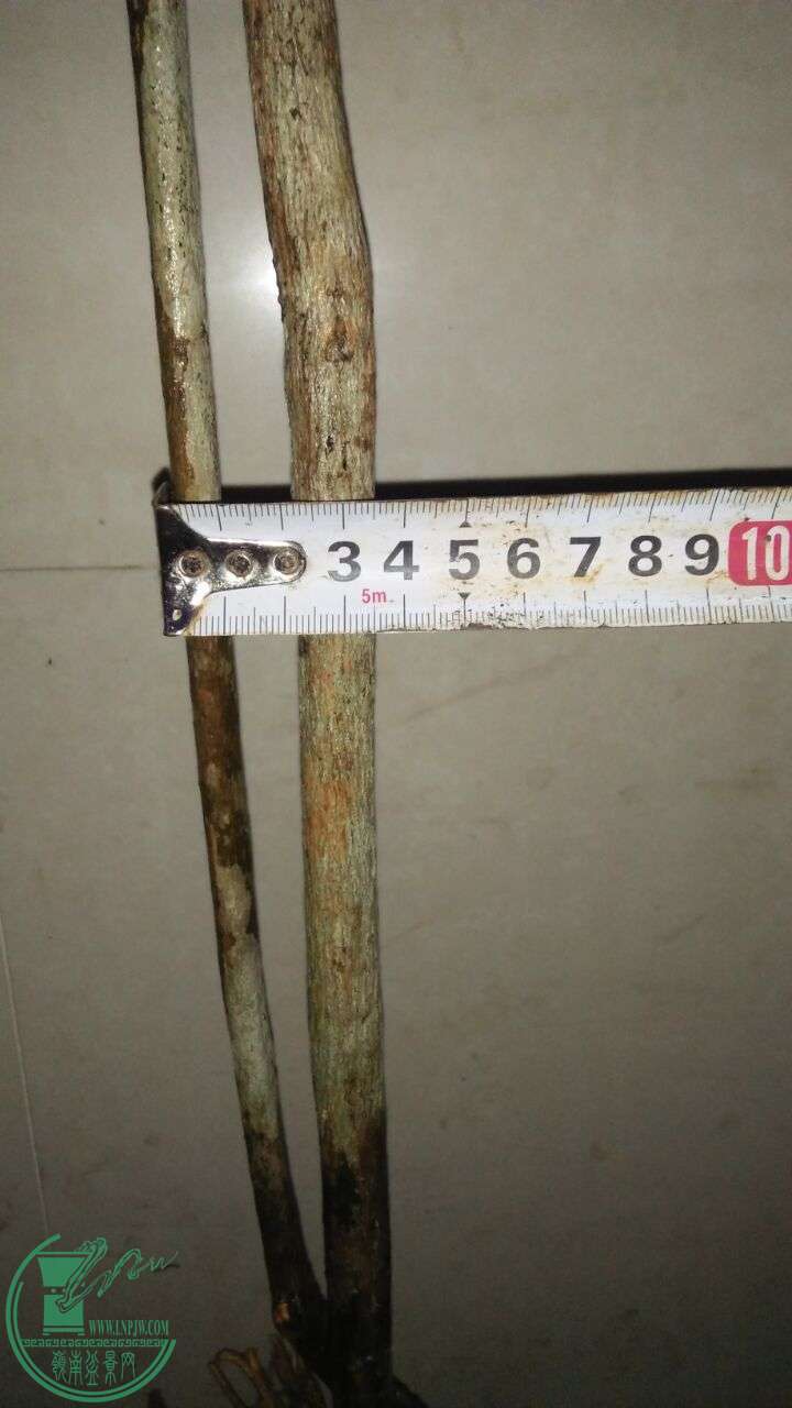 QQͼƬ20160220194446.jpg
