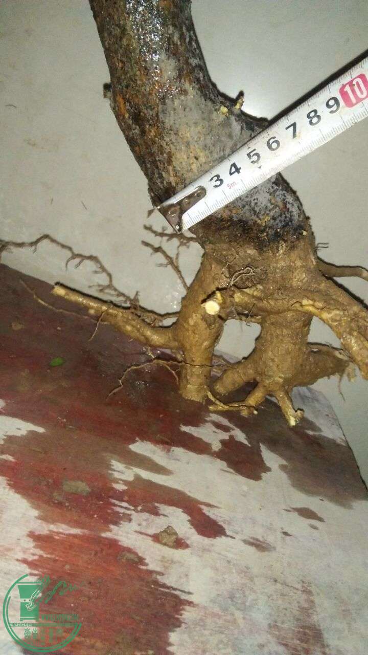 QQͼƬ20160220194150.jpg