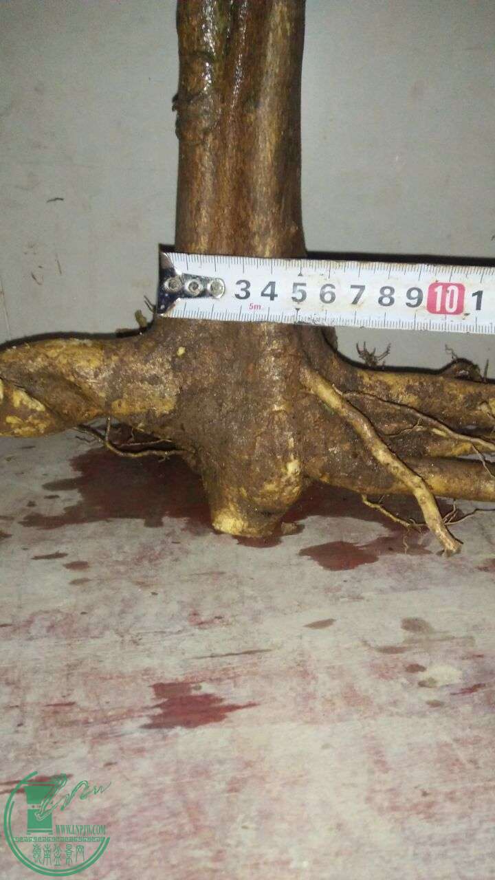 QQͼƬ20160220194436.jpg