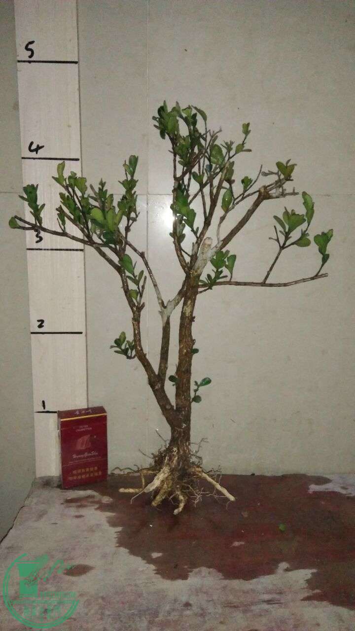 QQͼƬ20160220194127.jpg