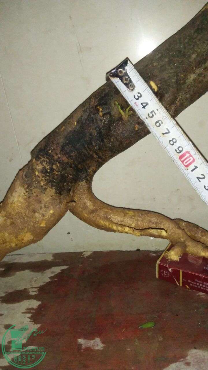 QQͼƬ20160220194251.jpg